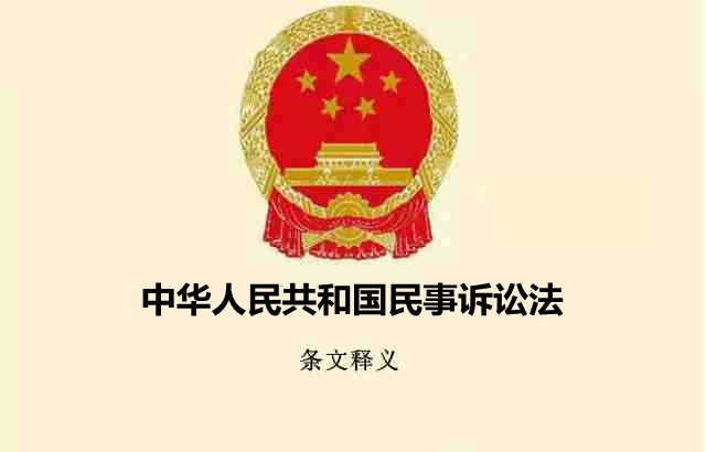 民事诉讼法条文释义