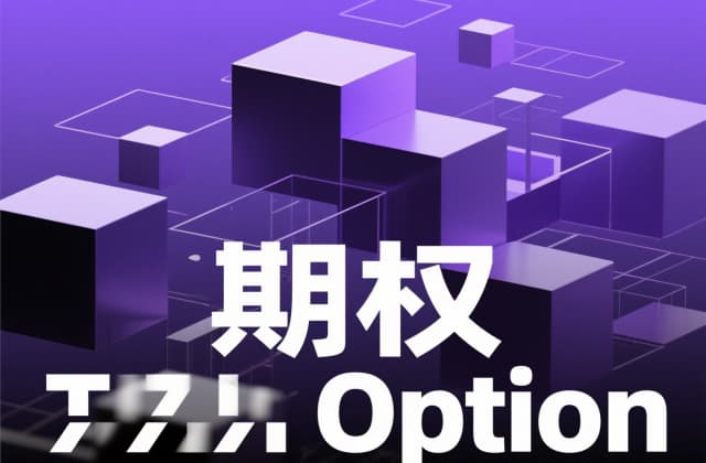 公司期权是什么意思？