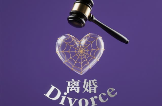 家暴起诉离婚流程和费用（2025年最新版实操指南）
