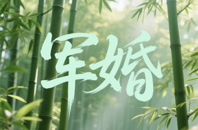 和军人离婚需要什么手续？2025年最新流程与材料清单