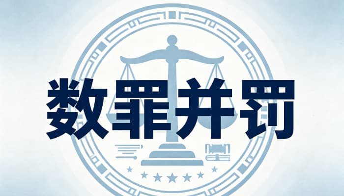 不适用数罪并罚犯罪行为的类型：这些按一罪处理
