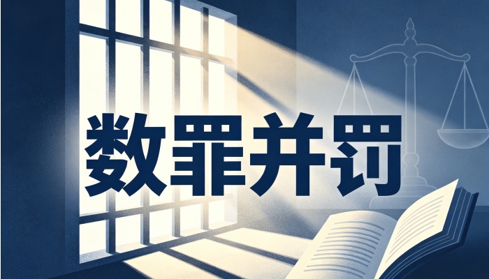 适用数罪并罚的情形(2026)：何时应当并罚