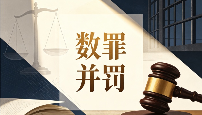 数罪并罚中的数罪如何认定(2026)：实质数罪才并罚