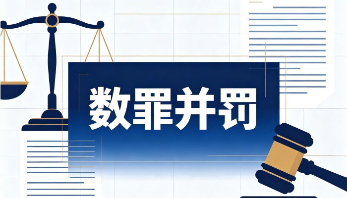 数罪并罚的原则：吸收、限制加重、并科三原则（2026）