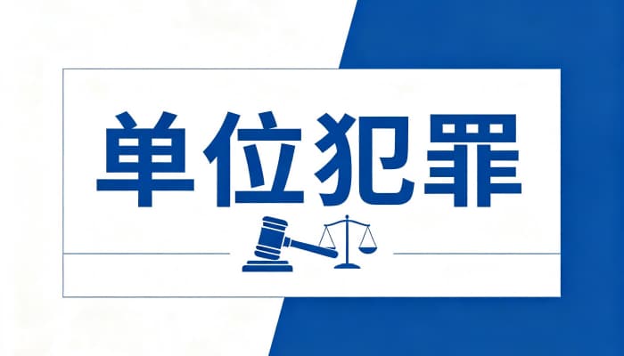 单位犯罪由谁承担刑事责任：双罚制下单位与个人的责任划分