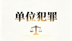 个人犯罪和单位犯罪的区别｜个人犯罪的界分标准与实务认定（2026）