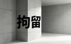 打鸟要拘留多久（2026）：非法狩猎、保护动物与拘留判刑的界限