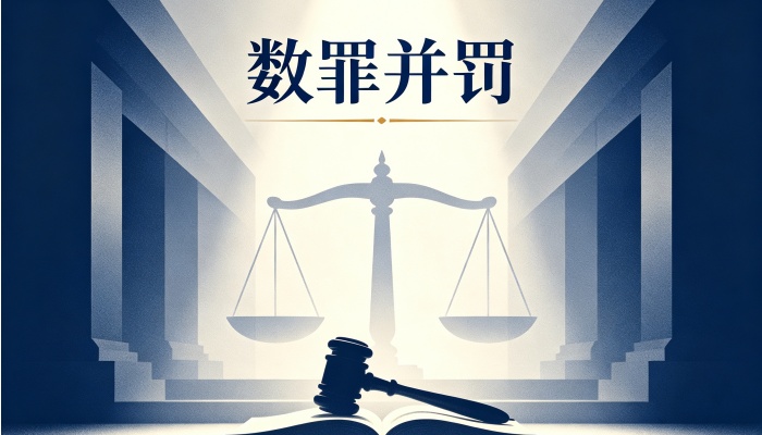 标题：数罪并罚法条：第六十九至七十一条及第七十七条原文逐条解读