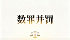数罪并罚的三种方法(2026)：吸收、限制加重、并科