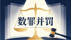 数罪并罚是几个罪：至少两个相互独立的犯罪