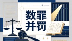 数罪并罚的构成要件（2026）：何时才“够格”并罚