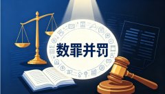 数罪并罚的依据（2026）：实体法与程序法依据