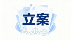 挪用资金一般不立案的标准（挪用资金立案标准与实务解答）