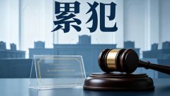 累犯不能判缓刑吗（累犯缓刑禁止的再确认）
