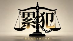 特殊累犯和一般累犯（两类累犯的对照总览）