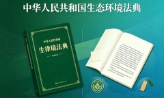 生态环境法典第53条如何实施？派出机构执法权落地指南