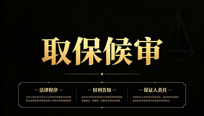 27263_取保候审是什么意思