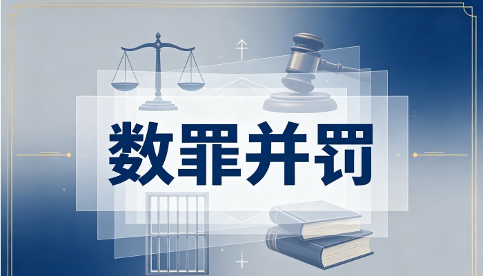 数罪并罚的案例(2026):三类情形真实判决示例